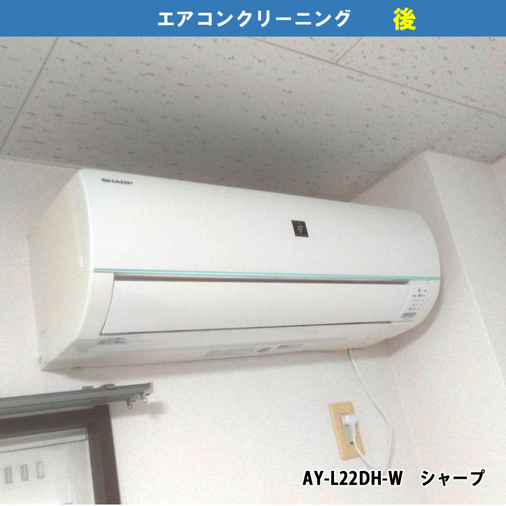 咳・くしゃみの原因はエアコンかもしれない！アレルギー対策に、エアコンクリーニングは有効｜エアコンクリーニング電気工事